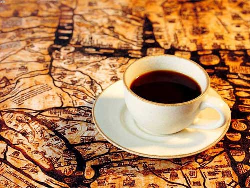 寻“咖啡美人”于蓝山
